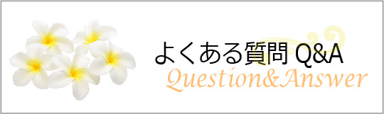 QAボタン