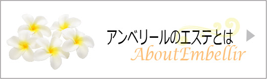 アンベリールエステとはボタン