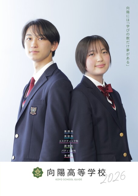 甲陽学院高等学校―限定版 平成15年度用 向陽高等学校