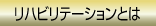 ��ϥӥ�ơ������Ȥ�